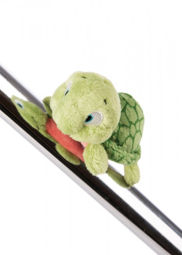 MagNICI Magnetic animal Turtle Tateus with magnets